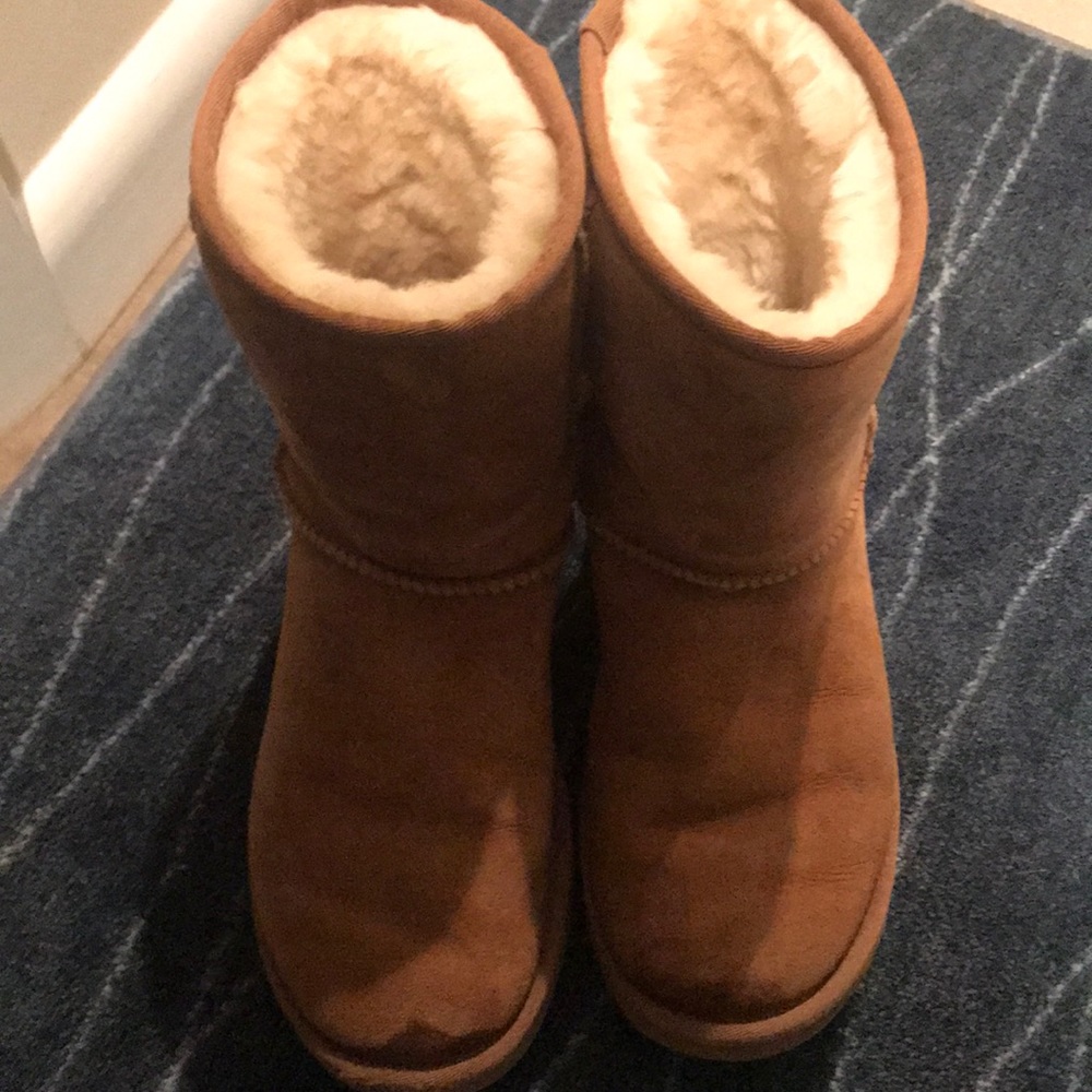 Classic Short chestnut uggs
